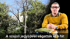 hqdefault hqdefault